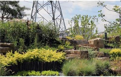 靜安區(qū)美麗城區(qū)項目臨汾路東茭涇(二期)綠化建設工程竣工