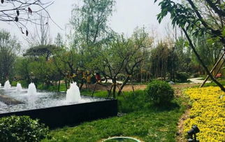 隆基泰和萬和郡動態 工地施工快馬加鞭園林綠化貼心服務 深圳安居客