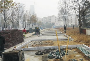 瑤海報數字報 打造精品綠化工程 建設生態園林城市