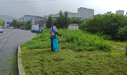 港溝綠化所 扎實(shí)做好夏季園林綠化養(yǎng)護(hù)工作