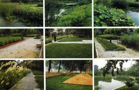 各種綠化、景觀鋪裝工程的設(shè)計(jì)與施工,園林綠化工程的養(yǎng)護(hù);園林綠化苗木、草皮、花卉的種植,銷售(廣西南寧)_CO土木在線