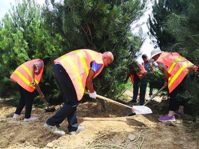 全面開(kāi)展呂梁市區(qū)增綠工程