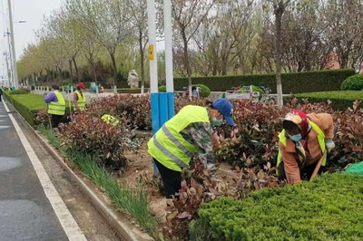 4月份園林綠化養(yǎng)護(hù)要點(diǎn)及病蟲(chóng)害防治措施