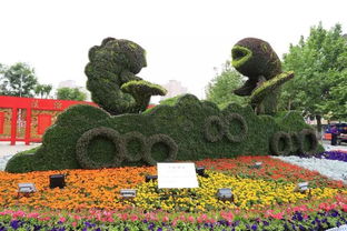 美 今年城區(qū)實(shí)施園林綠化工程15項(xiàng),這些地方風(fēng)景如畫