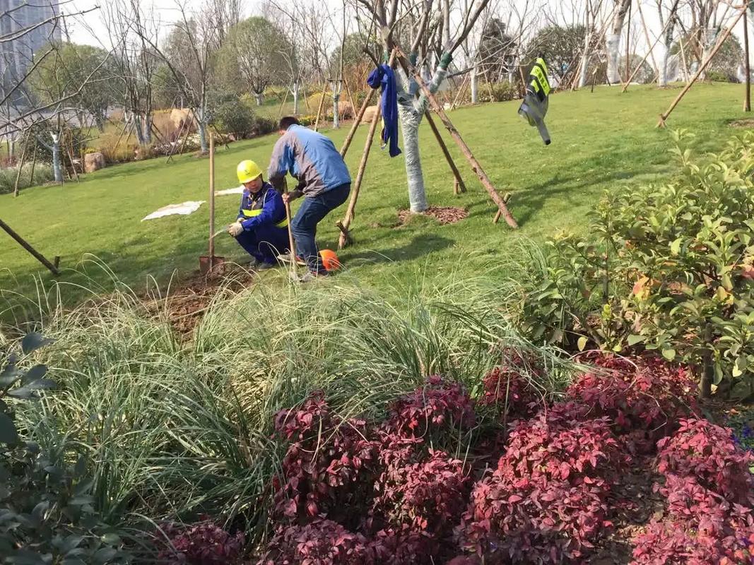 邊坡綠化工程 專業施工，筑造綠色家園的生態屏障